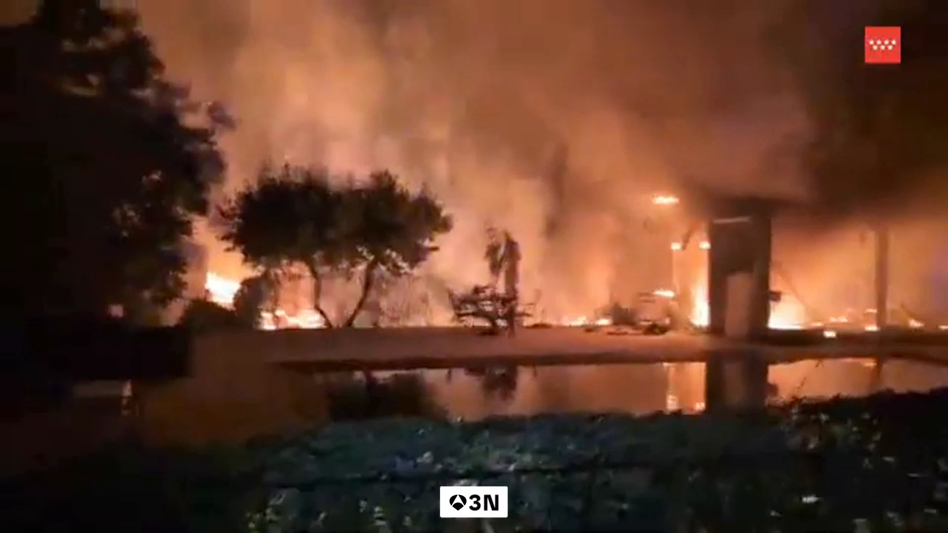 Madrid facilitará la retirada de las arizónicas en los jardines por su alto riesgo de incendio