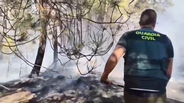 Las imágenes de la labor de los bomberos para combatir las llamas