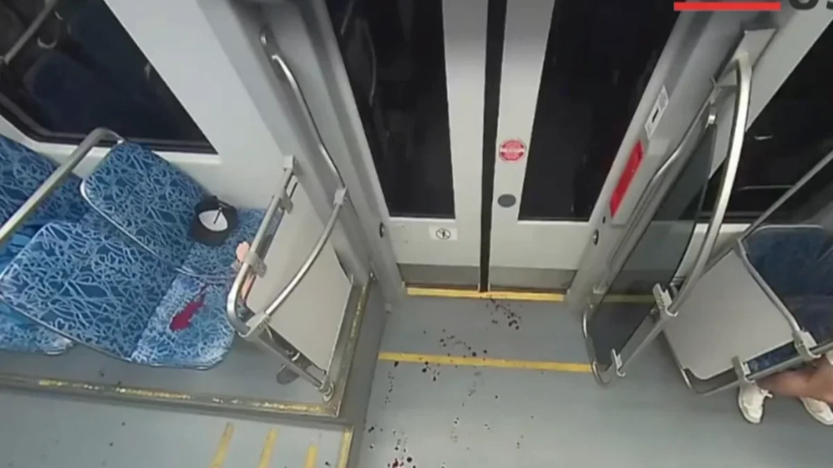 Las durísimas imágenes del apuñalamiento a una refugiada ucraniana en un tren