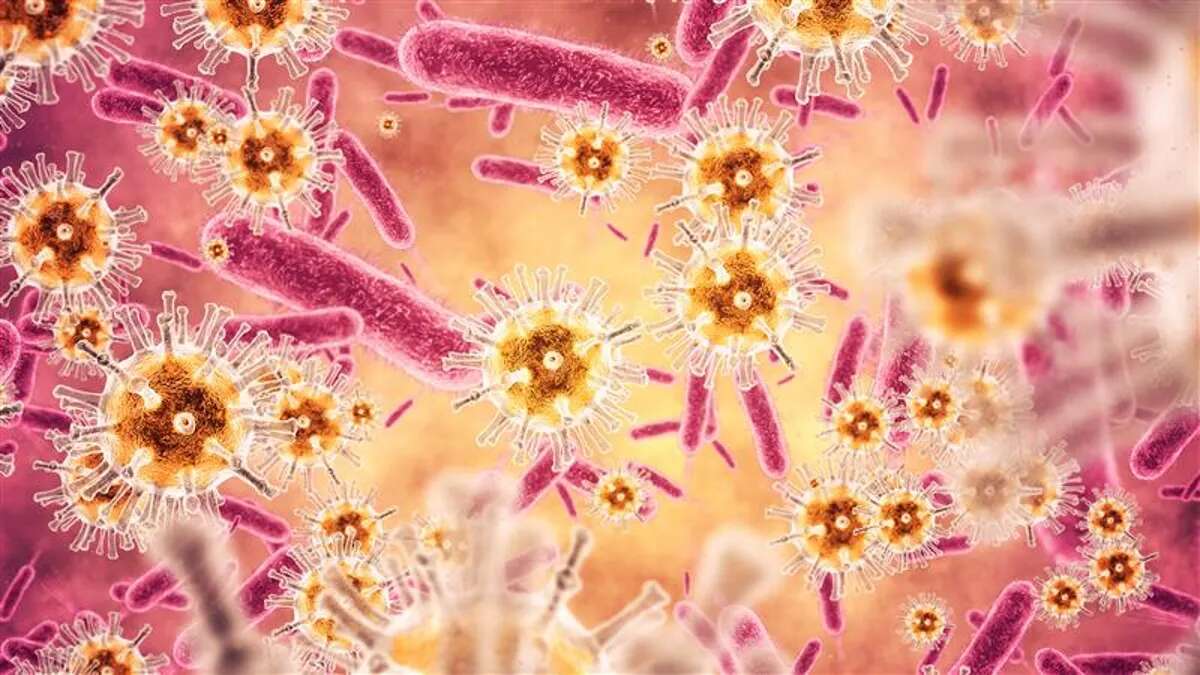 Las bacterias espejo, un riesgo sin precedentes para la vida en la Tierra que alarma a los científicos