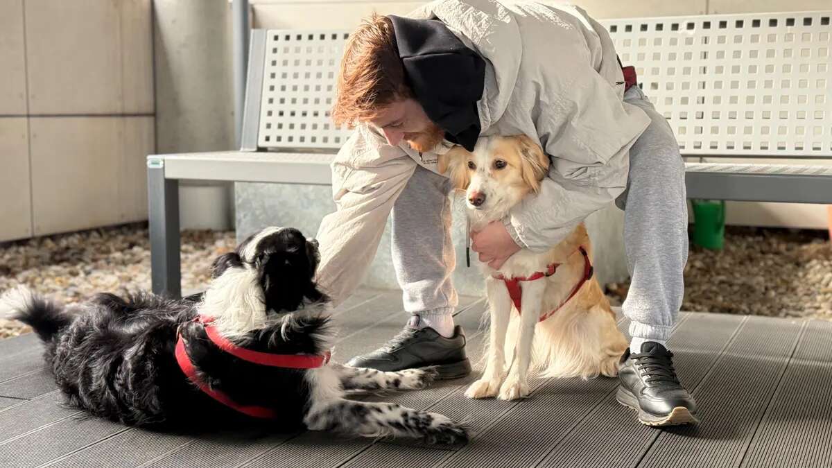 El Hospital de Ourense lanza una innovadora terapia que permite a los pacientes reencontrarse con sus mascotas