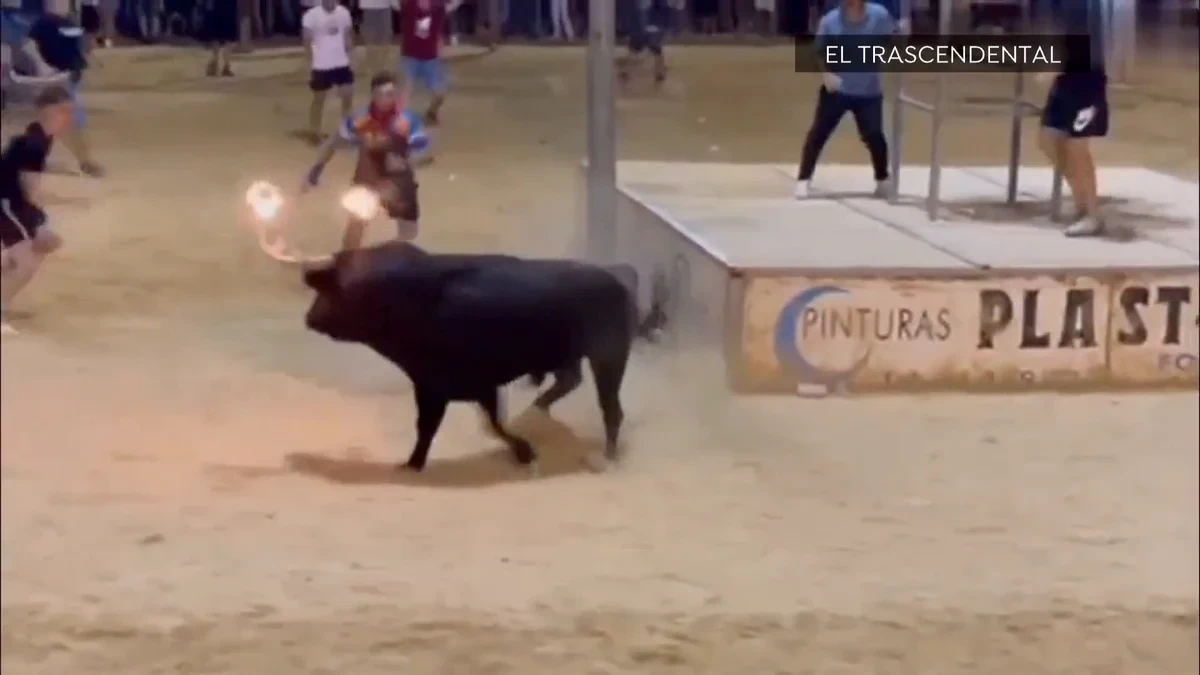 Vídeo: Estas son las imágenes del momento en el que un toro deja herido a un embolador en Port de Sagunt