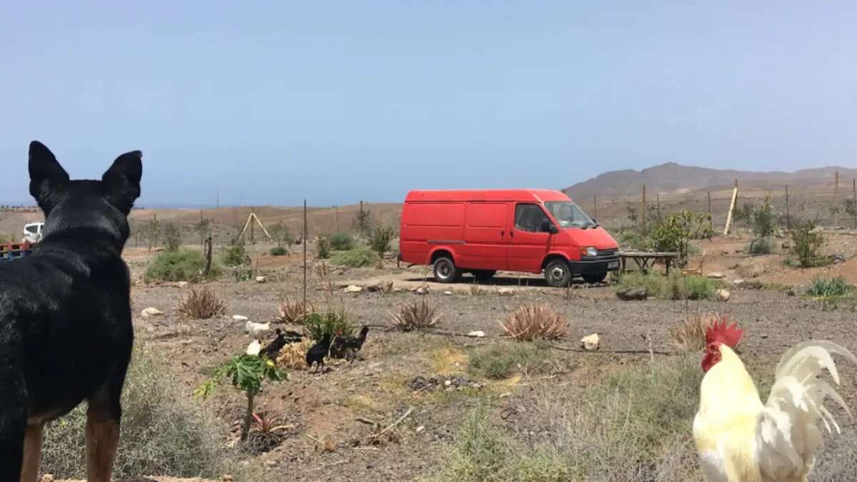 Así es el polémico alojamiento que ofrece una plataforma de alquiler en un descampado de Fuerteventura