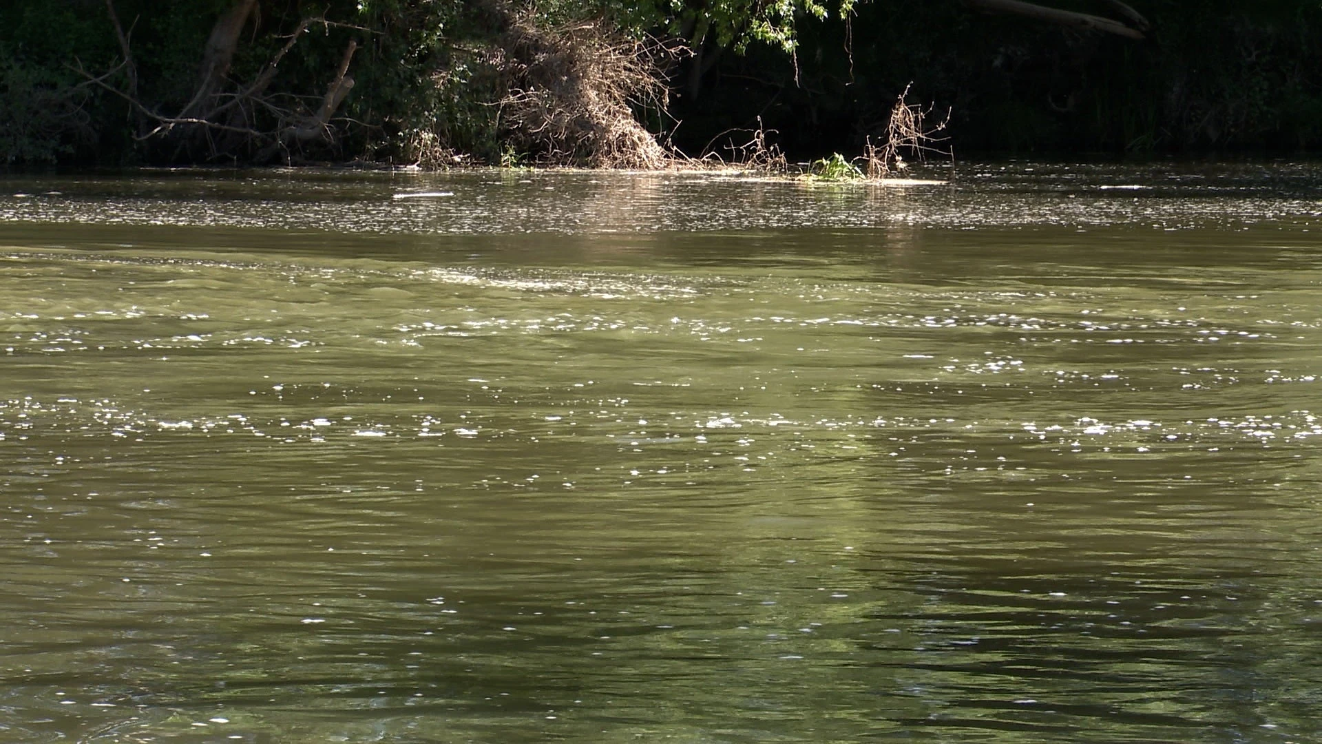 El niño rescatado en la presa de Palencia apareció agarrado a un tronco junto al cadáver de su madre