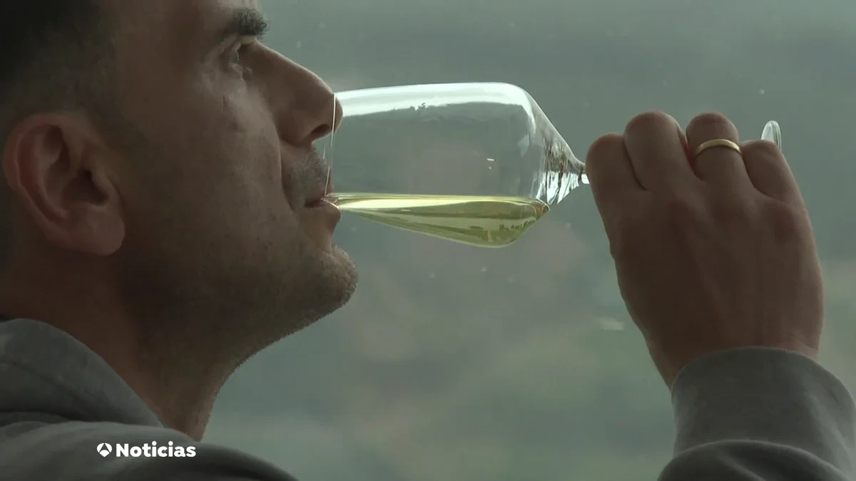 De la cepa al mundo: los vinos españoles se abren paso fuera de nuestras fronteras