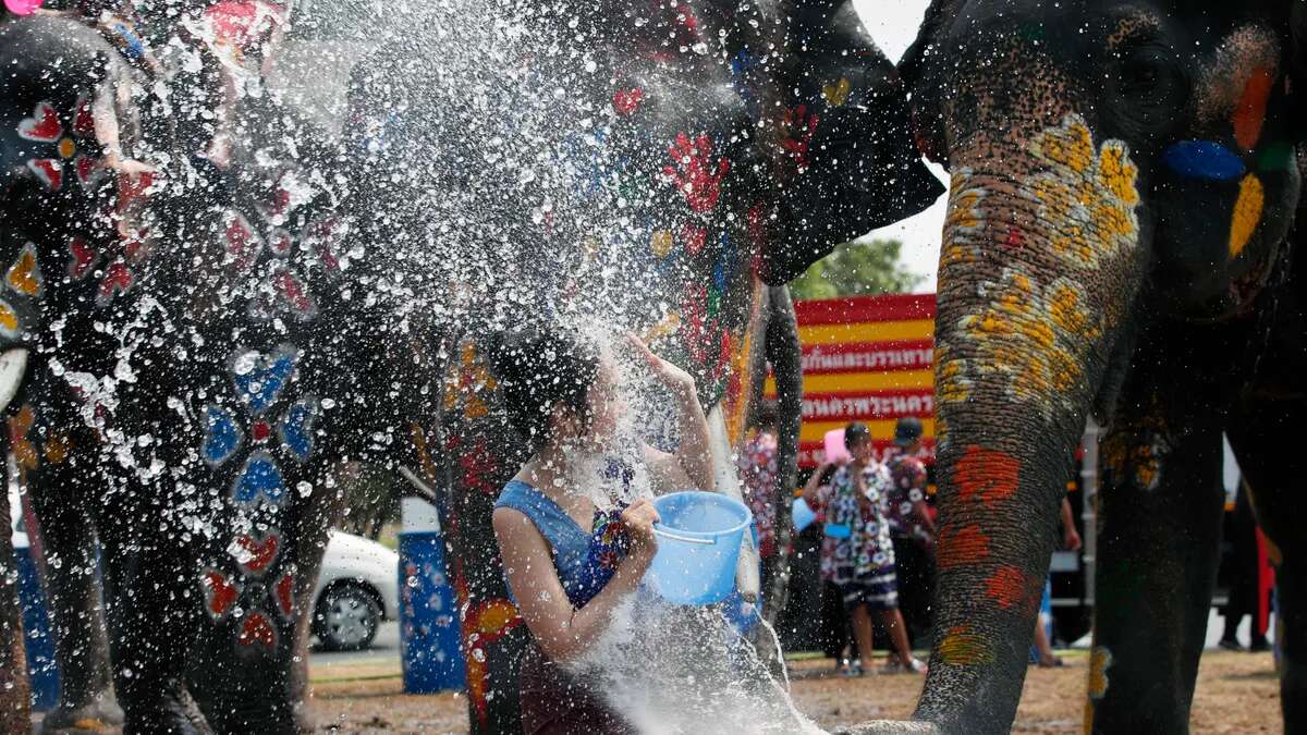 El centro de Tailandia donde murió una turista española atacada por un elefante no tenía licencia