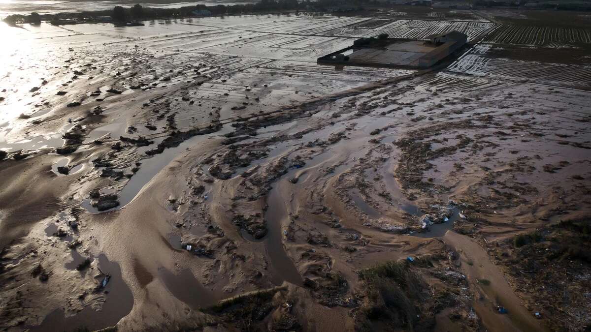 Última Hora DANA: Los efectivos de rescate se centran en La Albufera para localizar a los desaparecidos