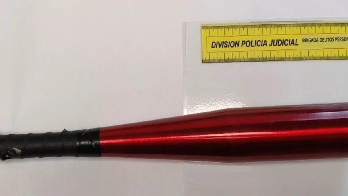 Detenidos cinco jóvenes, dos de ellos menores, tras agredir brutalmente con bates, palos y un cuchillo a un joven en Pamplona