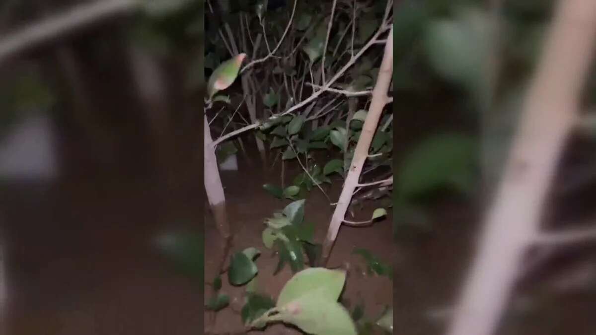 VÍDEO: Una mujer se queda atrapada por el agua, la corriente arrastra su coche y se queda 5 horas agarrada a un árbol