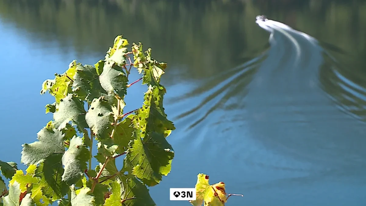 La Ribeira Sacra ha sido el escenario escogido para poner a prueba un proyecto piloto de uso de drones en carga en la vendimia