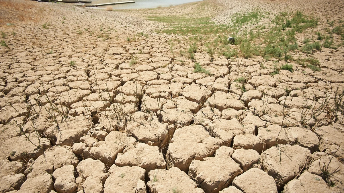 La gran ola de calor que sacude Europa provoca una sequía que se extiende por todo el continente