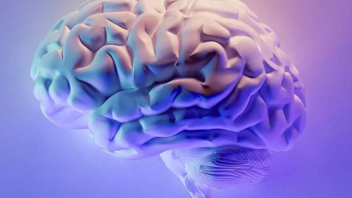 Cómo entrenar nuestro cerebro, según la bióloga Paula Rivas y el científico David Ballesteros