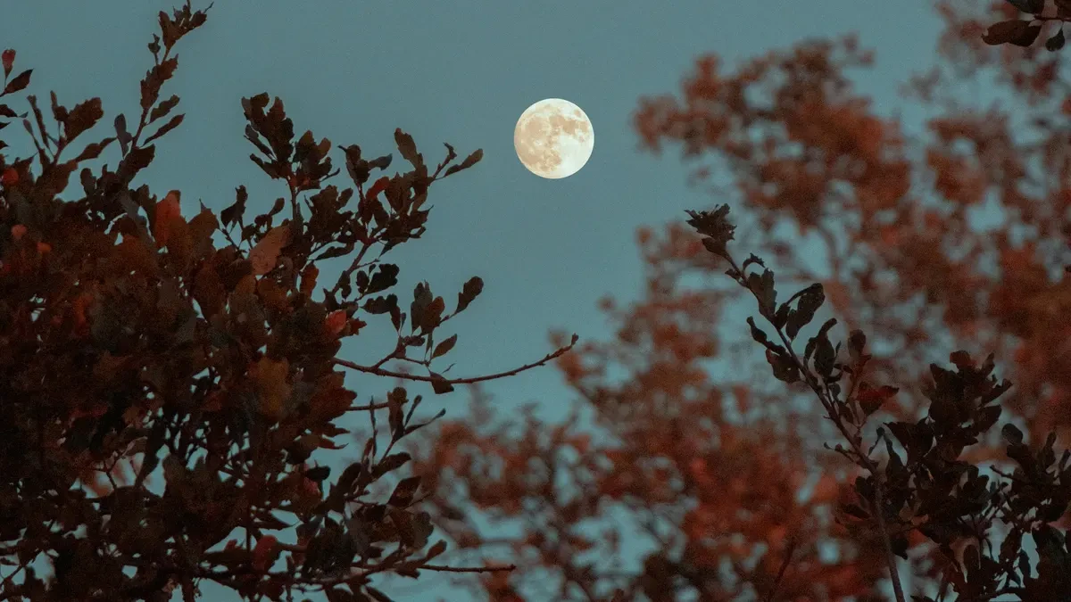 Calendario lunar octubre 2025: descubre cuándo habrá luna llena este mes