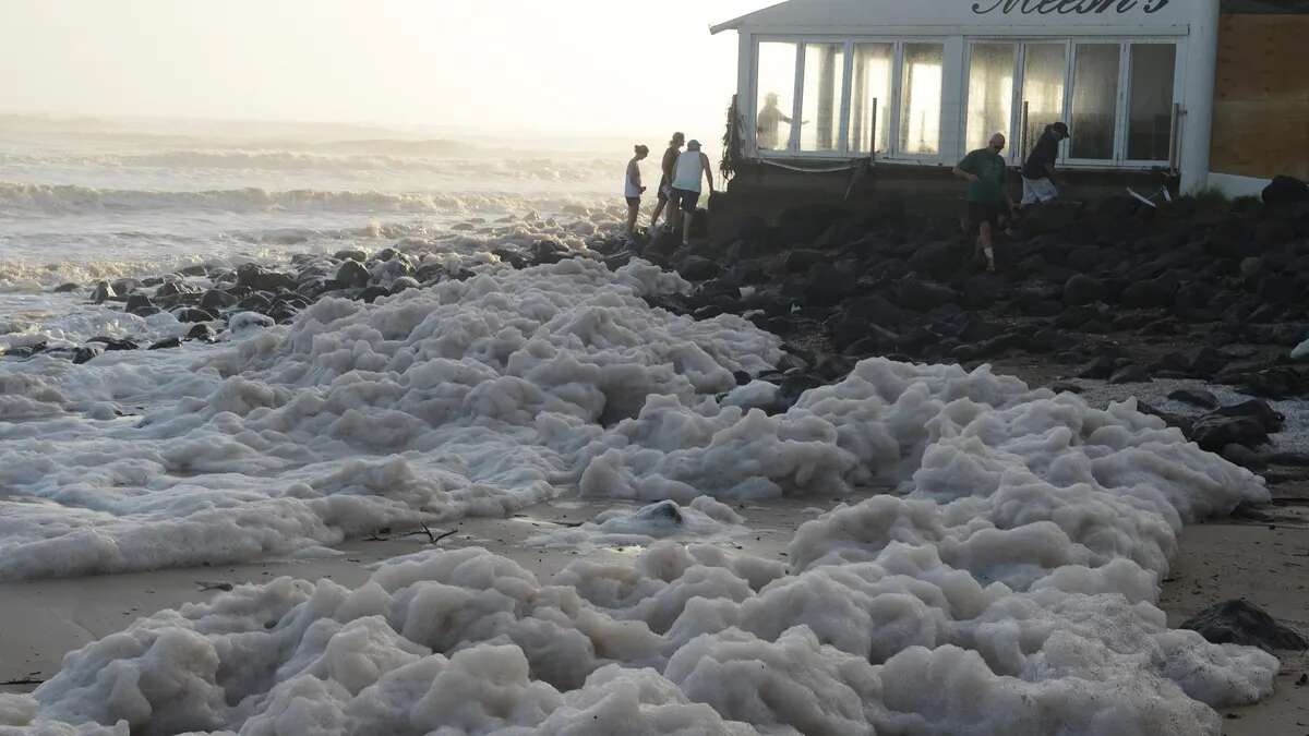 Cierran playas en Australia tras aparecer una espuma misteriosa y un brote de gripe