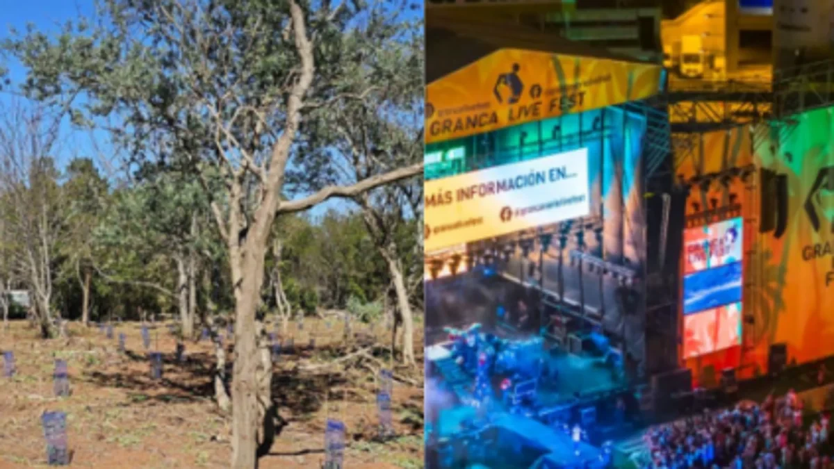GranCa Live Fest, el festival que regenera los bosques