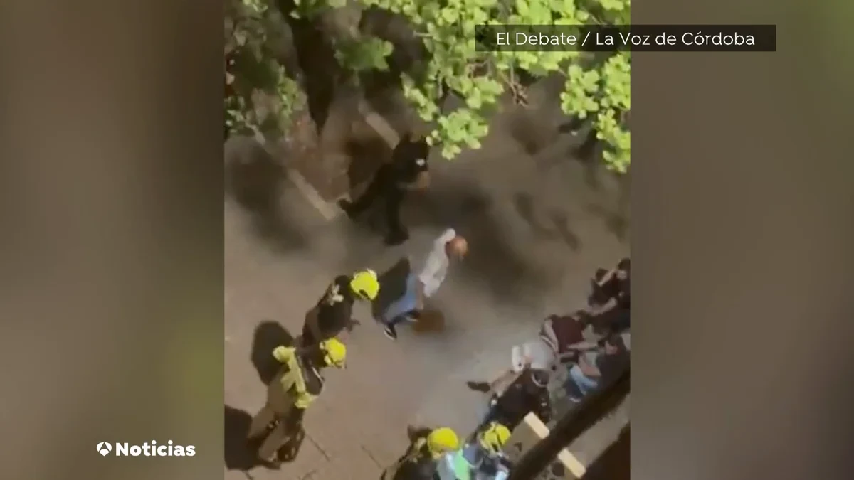 Un ladrón se queda atrapado en mitad de un robo y acaba pidiendo auxilio a gritos