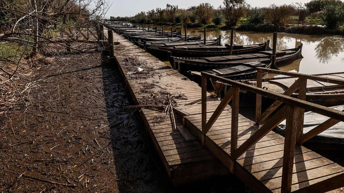 La Albufera de Valencia, tres meses después de la DANA: un humedal gravemente dañado