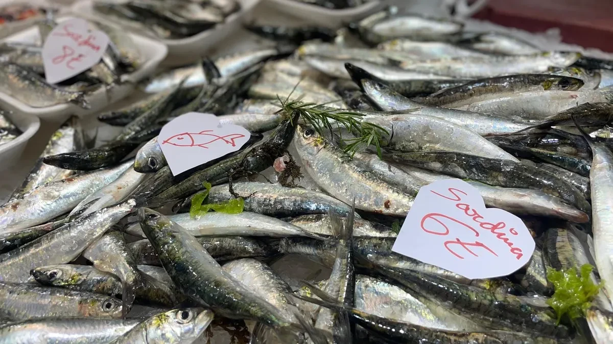 Galicia lanza el Bono Peixe: un impulso a la compra de pescado y un toque de atención al consumidor