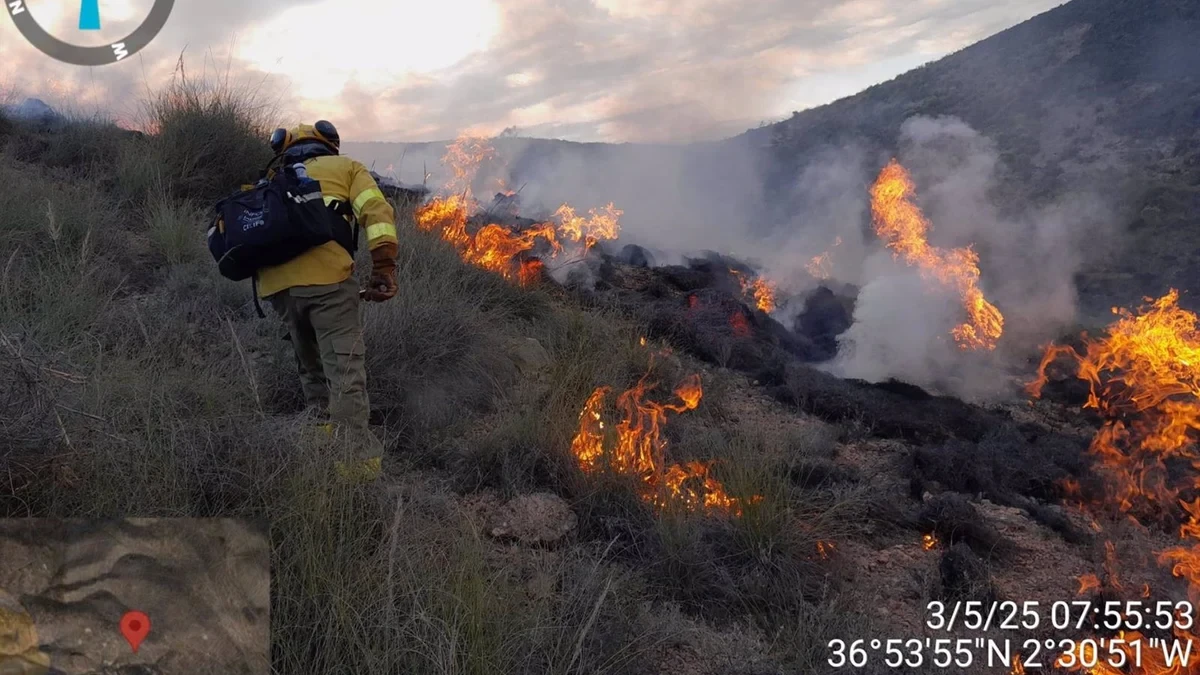 Activada la fase de preemergencia por el incendio forestal en Huércal, Almería