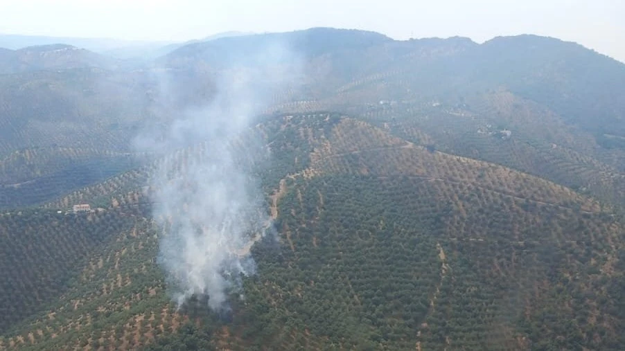 Declarado un incendio en una zona agrícola de Pozoblanco por el impacto de un rayo