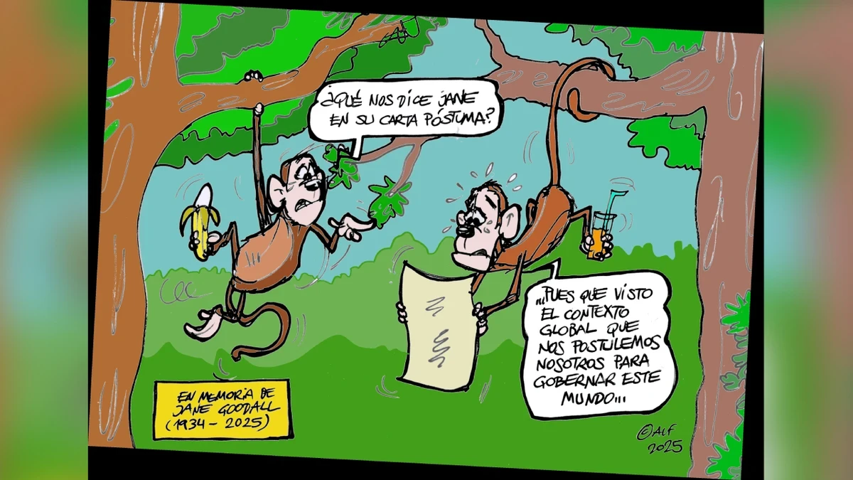 Los chimpancés gobernando el mundo tras la muerte de Jane Goodall, en la viñeta gráfica de Alfredo Boto