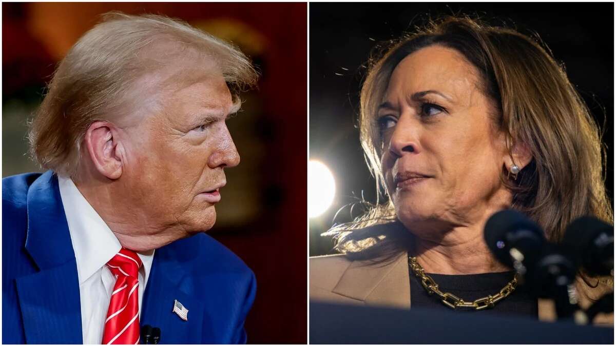 Donald Trump y Kamala Harris siguen peleando en la campaña electoral de EE.UU: el margen de votos es muy estrecho