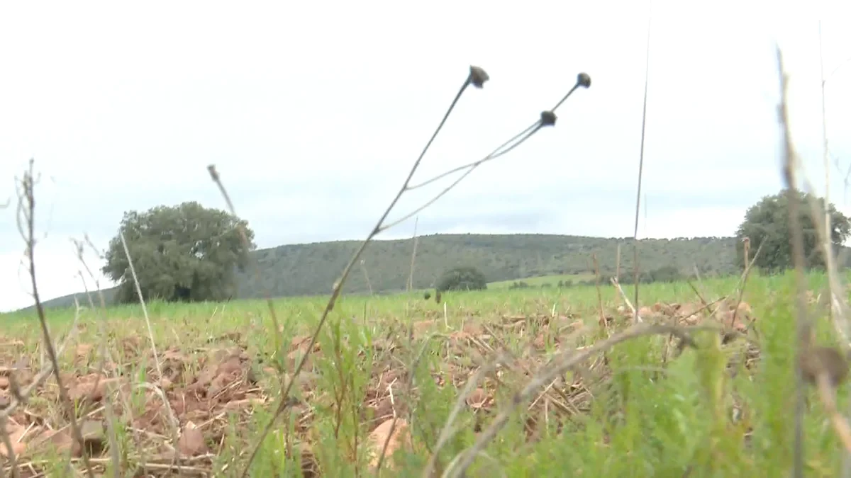 Las tierras raras de Ciudad Real: el filón de la monacita gris
