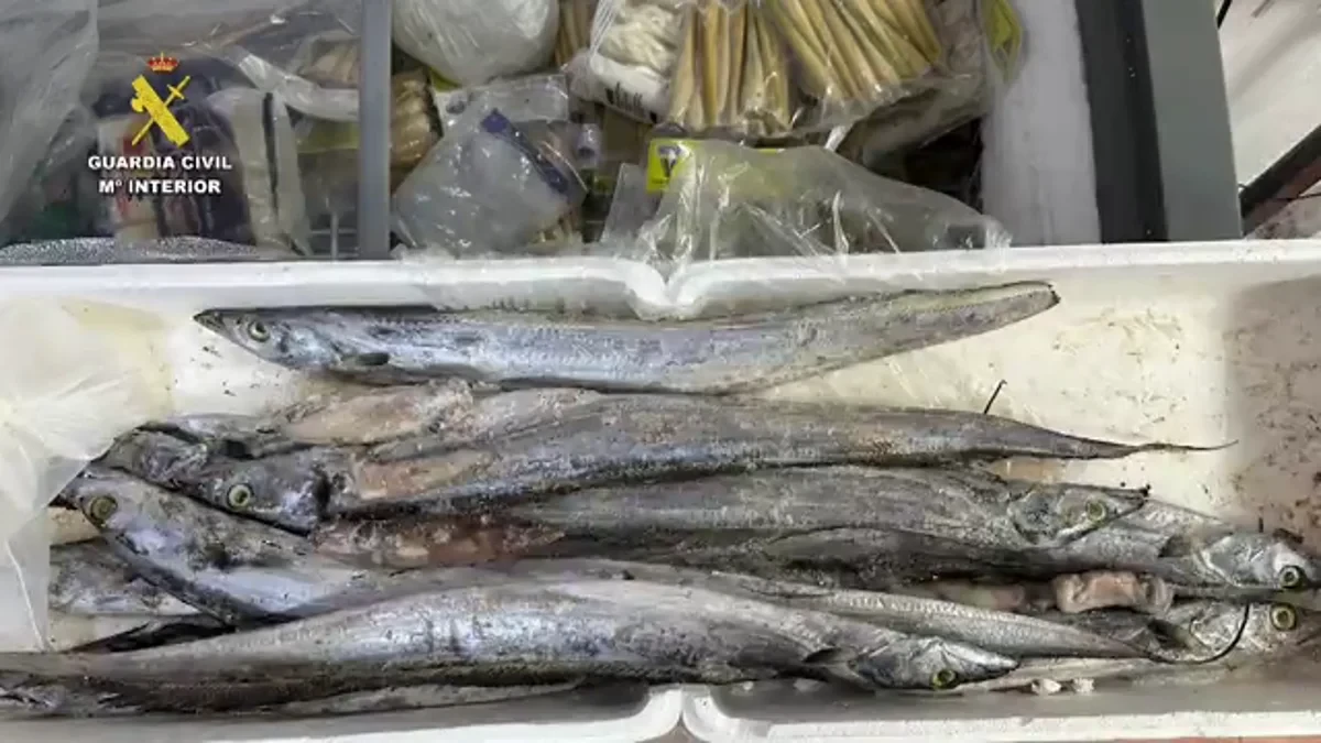 Hallan casi 600 alimentos caducados en una tienda asiática en Las Palmas