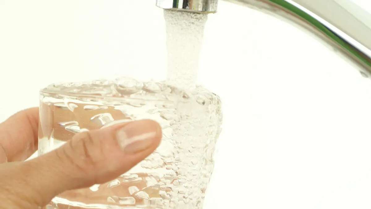 Detectan relación entre tóxicos en el agua potable y una mayor incidencia de cáncer