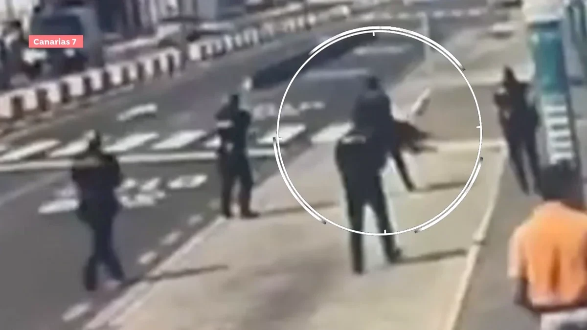 Duras imágenes: Abatido por la Policía tras atacar a un taxista y abalanzarse sobre los agentes en el aeropuerto de Gran Canaria