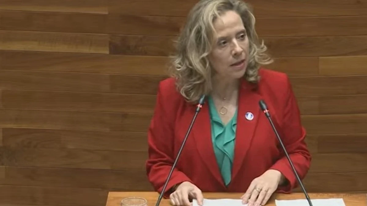 Dimite la consejera de Transición Ecológica de Asturias por el accidente de Cerredo