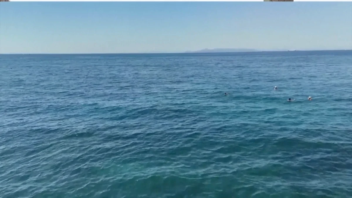 El cambio climático transforma el mar de Alborán y los peces tropicales colonizan sus aguas
