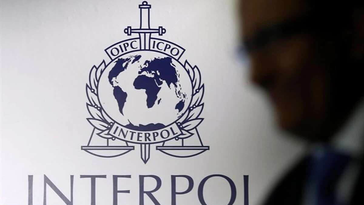 Interpol pide colaboración ciudadana para identificar a 46 mujeres asesinadas en Europa, seis en España