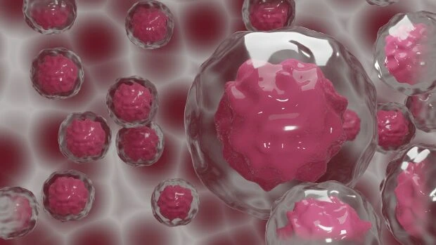 Cómo despertar a nuestro sistema inmune: la inmunoterapia
