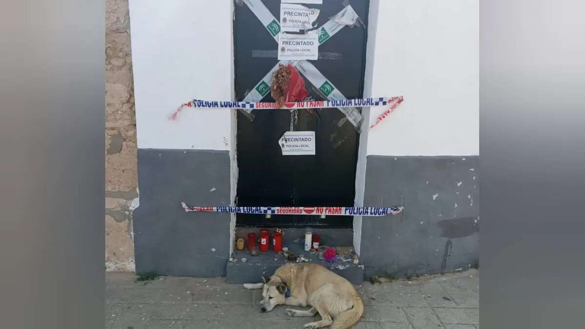 Un perro callejero duerne cada día en la puerta donde vivía el hombre con el que paseaba