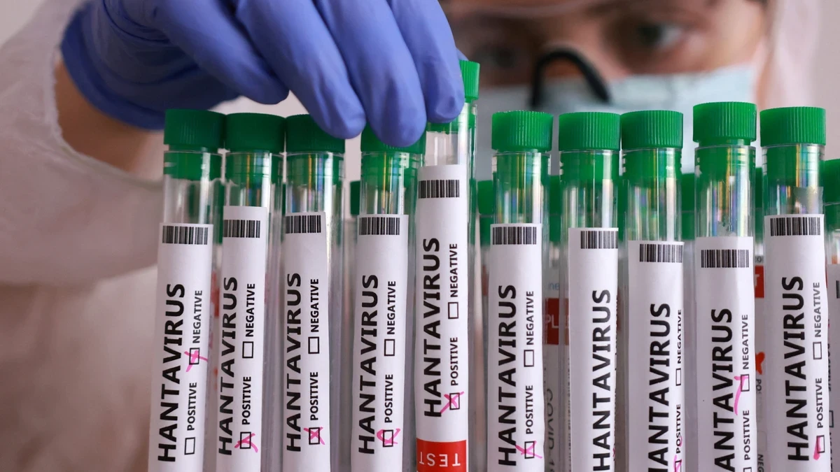 Hantavirus Andes: síntomas, cómo se transmite y cuál es el riesgo real del brote del crucero