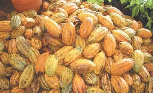 UK Commits To Duty-Free Access For Nigerian Exports