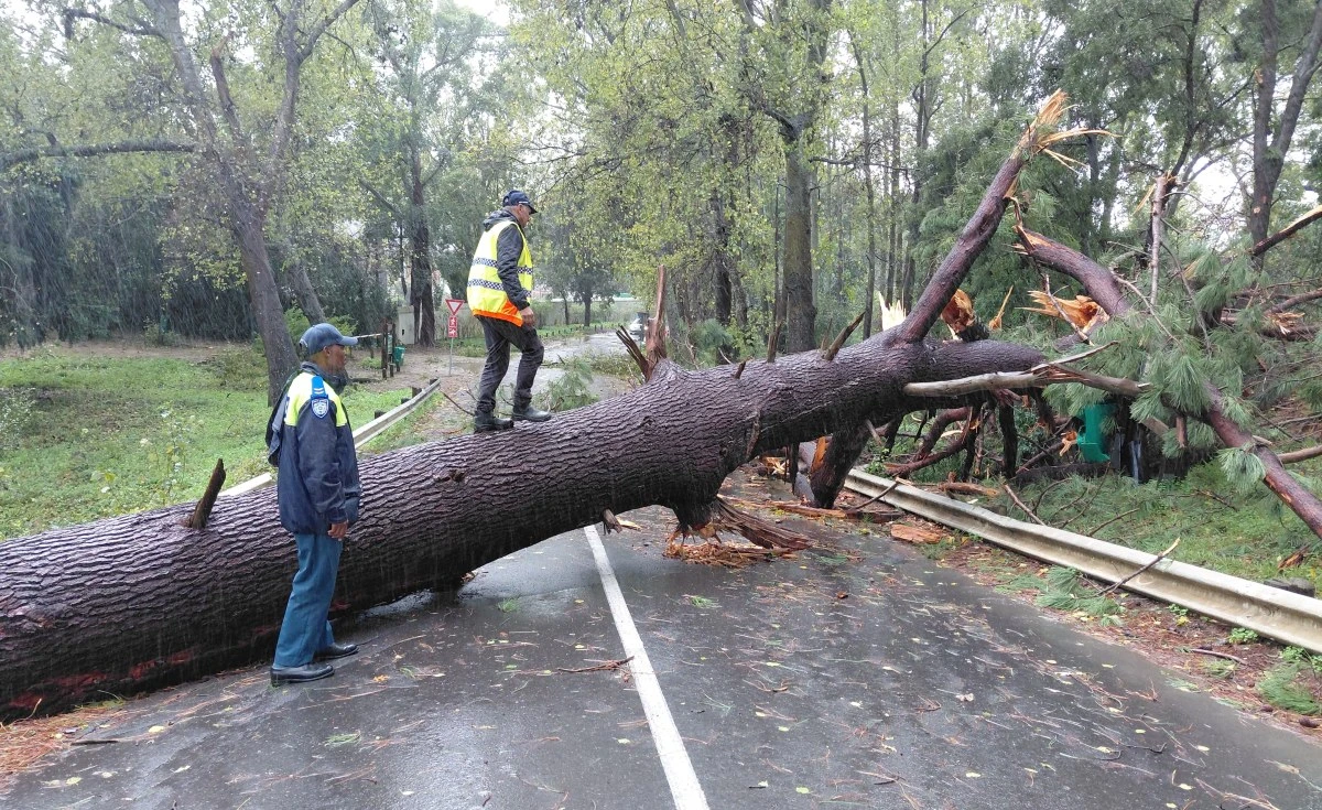 South Africa Declares National Disaster Over Severe Weather