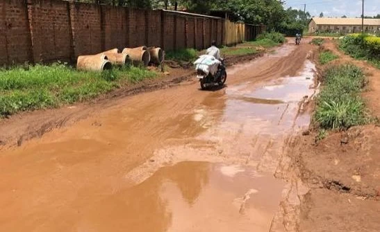 Senior Officials Sacked in Uganda Roads Ministry Shake-Up
