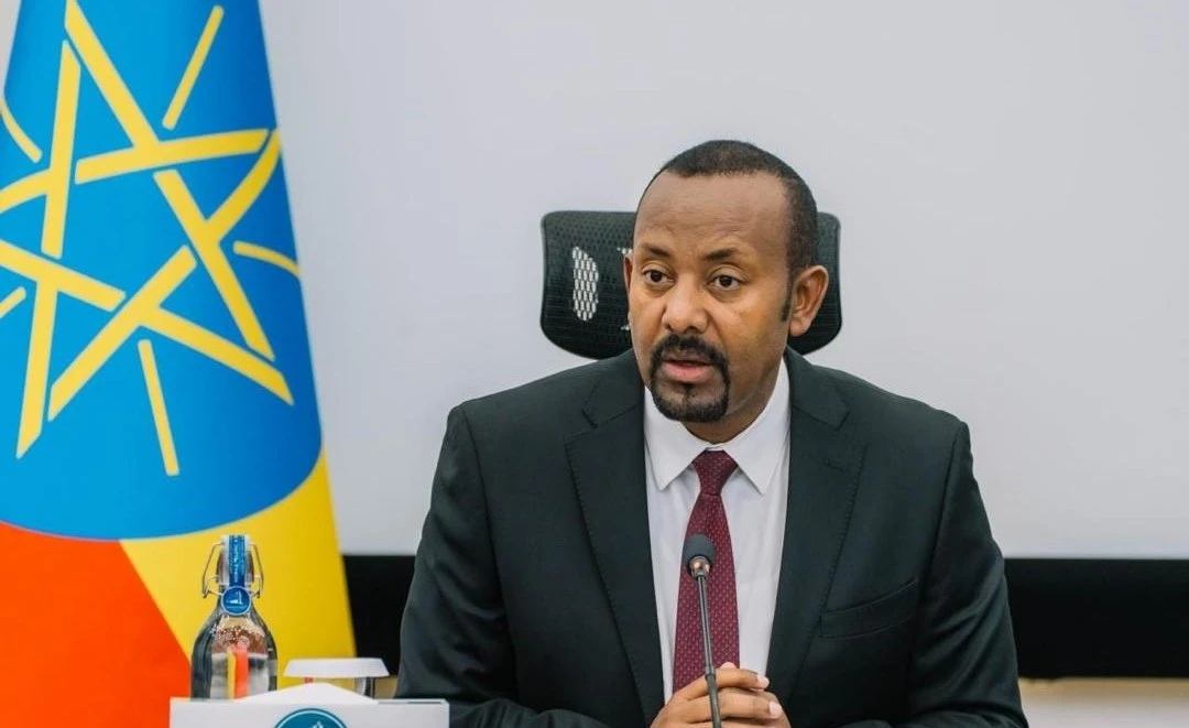 Ethiopia's Ruling Party Wins Amid Security and Election Concerns