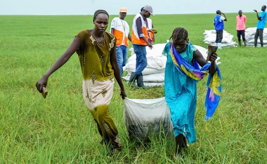 Millions Starving as Food Aid Dwindles in War-Torn South Sudan
