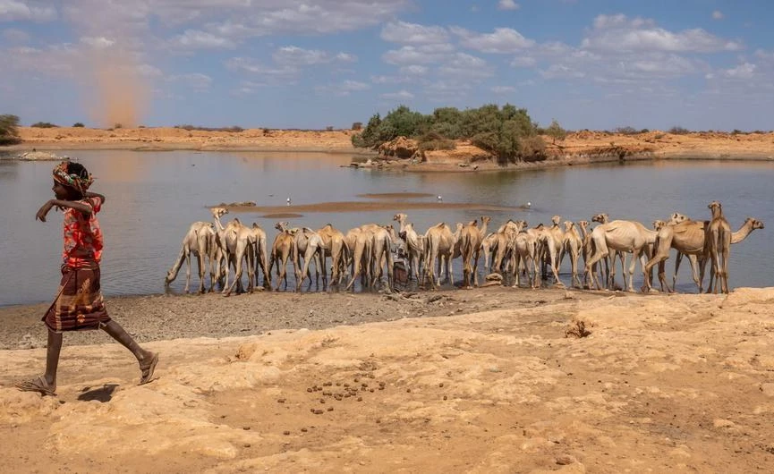 'Rapid Deterioration' Imminent in Ethiopia After WFP Aid Ends