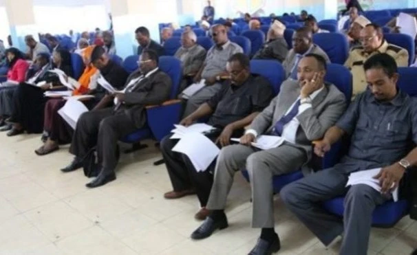 MPs Suspended After Fighting in Somali Parliament