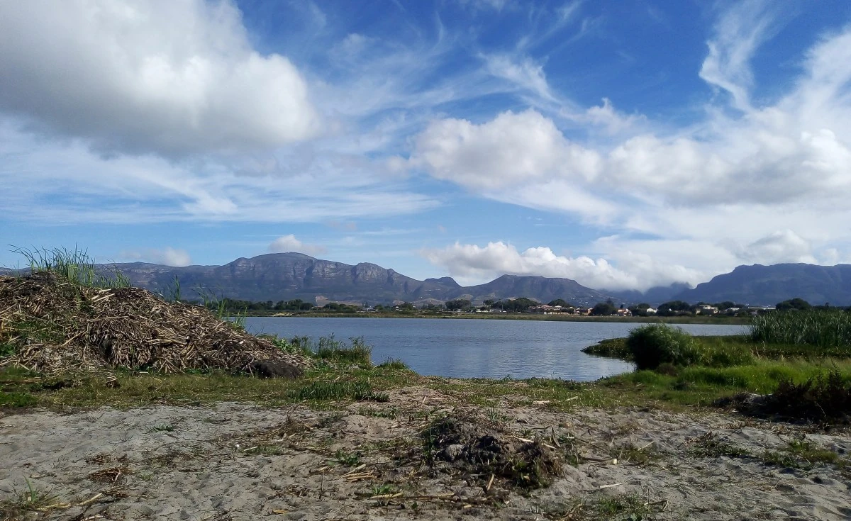 Saving Agriculture's Lifeline - Why Wetlands Matter Now