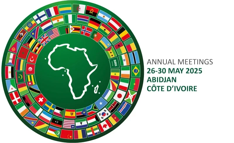 Focus on 'Making Africa's Capital Work