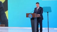 Системну вирубку лісу в Карпатах вдалося зупинити - Президент