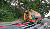 Спецоперація в Ужгороді: чоловік вчинив стрілянину в лісі, зайнялася пожежа - його затримали
