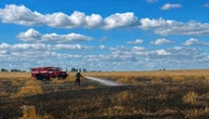 На Житомирщині через російську атаку вигоріло пшеничне поле