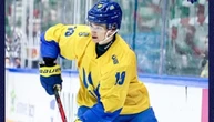 Хокеїст збірної України Гребеник гратиме за польський клуб