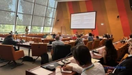 У Страсбурзі відбулося засідання Парламентської мережі з питань становища дітей України